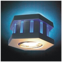 Ceiling Lamp, LED Lamp