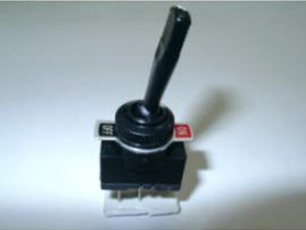 Toggle Switch