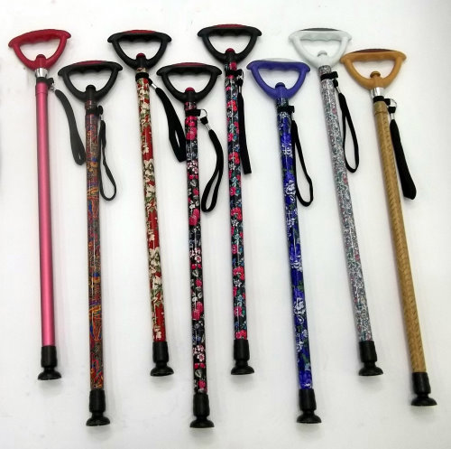 Walking Stick / Cane