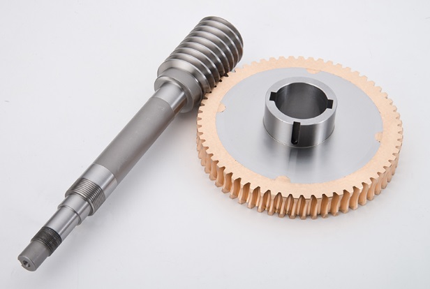 Worm & Worm Gear