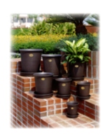 Plastic Planters