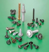 Automotive Screws