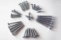 Window Screws 