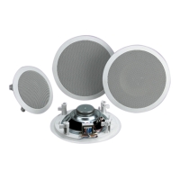 Ceilling Speaker