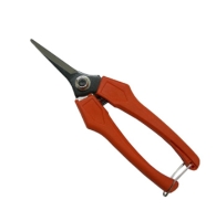 Trimming Pruner 