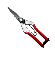 Long Blade Fruit Pruner