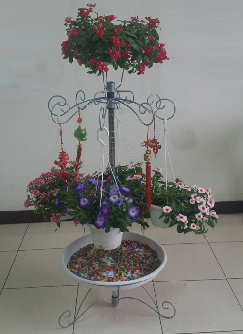 Multifunctional K/D Flower Rack