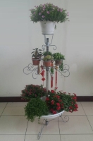 Multifunctional K/D Flower Rack