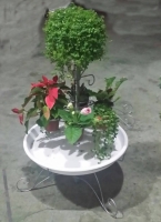 Multifunctional K/D Flower Rack