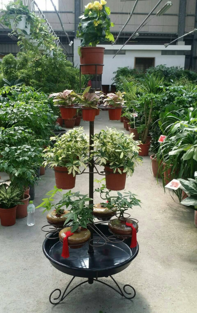 Multifunctional K/D Flower Rack