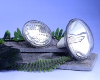 Sealed Beam Par Lamp