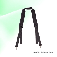 BackBelt