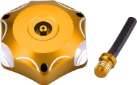 Fuel Gas Cap(ASGT)