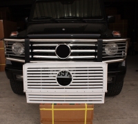 CAR GRILLE