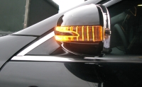 Door Mirror Cover W/light (arrow type) + Manner Light