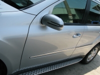 Door Mirror Cover W/light (arrow type) +