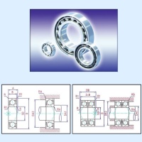 Angular Contact Ball