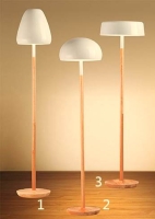 Floor Lamps/Standing Lamps