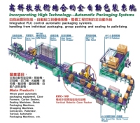 Vertical Robotic Case Packer