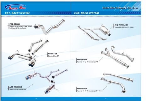 Cat-Back Exhaust System