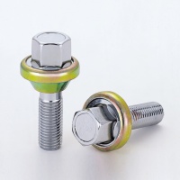 Adjustable Bolt