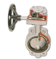 Gear Operated Valve