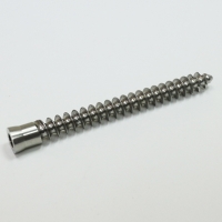 Bone Screws