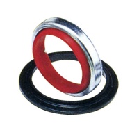 Oil Seals