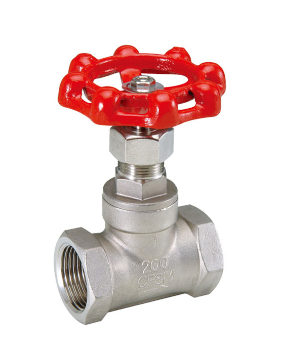 Globe Valve