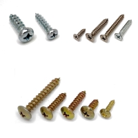 Self-Tapping Screws