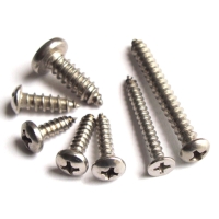 Stainless Steel Self-Tapping Screws