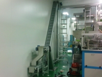 Conveyor System for Bottle Cap