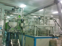 Conveyor System for Bottle Cap