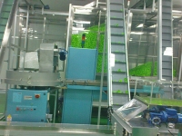 Conveyor System for Bottle Cap