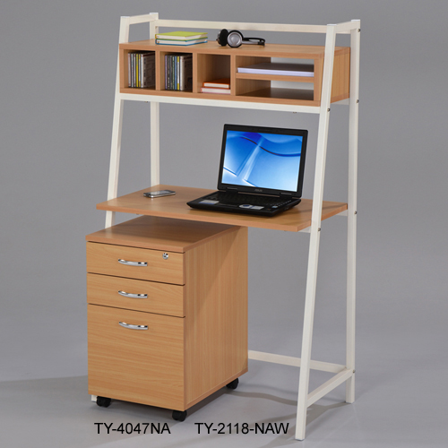 Computer Racks / File Cabinet