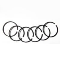 Piston Ring