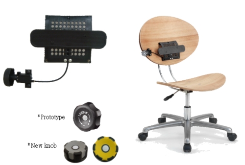 2WAY Adjustable lumbar support mechanism