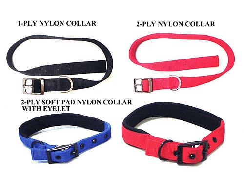 Buckle Collars