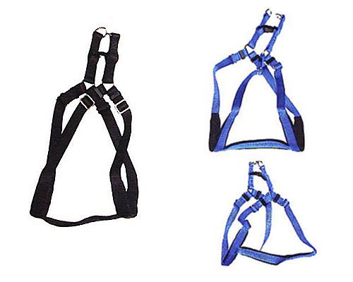 Dog Harness