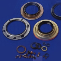 Oil Seals