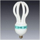 Energy Saving Lamps