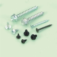 Other Screw