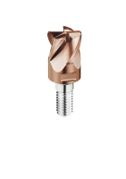 Corner Radius End Mill Tip,Exchangeable