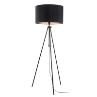 )Floor Lamp