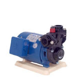 TP3-P-Series Direct Water Pump