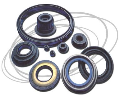 Oil Seals