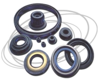 Oil Seals