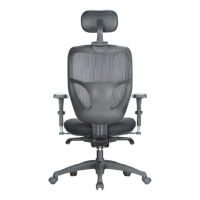 Formosa Mesh Chair