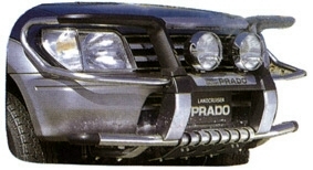 Grille Guards