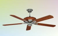 Ceiling Fan Lights